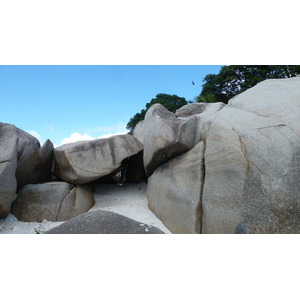 รูปถ่าย เซเชลส์(Seychelles) เกาะโกโก้(Coco Island) 2011-10 37