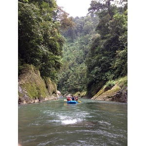 รูปถ่าย คอสตาริกา(Costa Rica) แม่น้ำปากัวเร(Pacuare River) 2015-03 77