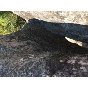 รูปถ่าย ไทย(Thailand) อุทยานแห่งชาติภูหินร่องกล้า(Phu Hin Rong Kla National Park) 2014-12 189