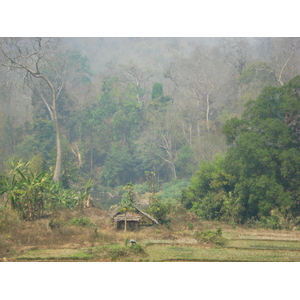 รูปถ่าย ไทย(Thailand) ปางมะผ้า(Pang Mapha) 2007-02 2