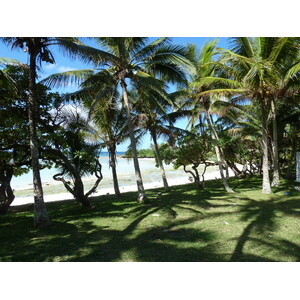 รูปถ่าย นิวแคลิโดเนีย(New Caledonia) เกาะลีฟู(Lifou) หมู่บ้านมู(Mu) 2010-05 39