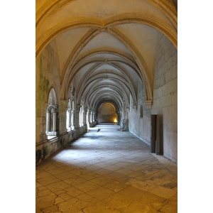 รูปถ่าย โปรตุเกส(Portugal) อัลโกบาซา(Alcobaca) 2013-01 104