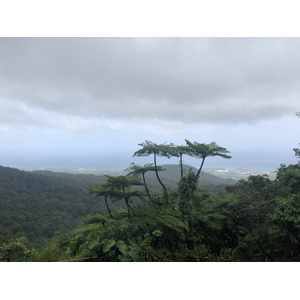 รูปถ่าย กวาเดอลูป(Guadeloupe) น้ำตกการ์เบ(Carbet Falls) 2021-02 48