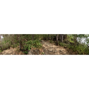 รูปถ่าย คอสตาริกา(Costa Rica) มอนเตซูมา(Montezuma) 2015-03 548