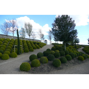 รูปถ่าย ฝรั่งเศส(France) อ็องบวซ(Amboise) ปราสาทอ็องบวซ(Amboise Castle) 2008-04 21