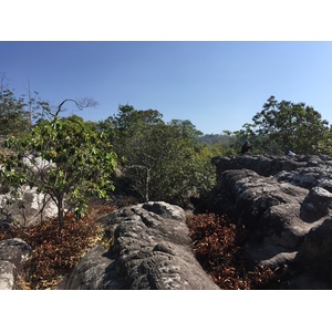 รูปถ่าย ไทย(Thailand) อุทยานแห่งชาติภูหินร่องกล้า(Phu Hin Rong Kla National Park) 2014-12 258