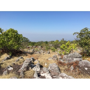 รูปถ่าย ไทย(Thailand) อุทยานแห่งชาติภูหินร่องกล้า(Phu Hin Rong Kla National Park) 2014-12 208