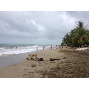 รูปถ่าย คอสตาริกา(Costa Rica) ปวยร์โตเบียโฆเดตาลามังกา(Puerto Viejo de Talamanca) 2015-03 97