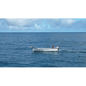 รูปถ่าย เซเชลส์(Seychelles) ซีสตาร์(Sea Star) 2011-10 47