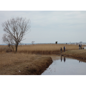 รูปถ่าย เอสโตเนีย(Estonia) ฮาปซาลู(Haapsalu) 2009-04 51