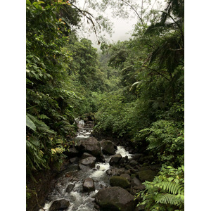 รูปถ่าย กวาเดอลูป(Guadeloupe) น้ำตกการ์เบ(Carbet Falls) 2021-02 62