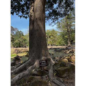 รูปถ่าย กัมพูชา(Cambodia) เสียมราฐ(Siem Reap) นครธม(Angkor Thom) 2023-01 81