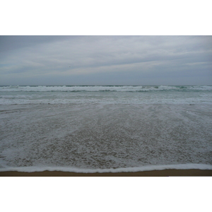 รูปถ่าย แอฟริกาใต้(South Africa) ถนนจากเฮอร์มานัสไปไนส์นา(Harmanus to Knysna road) 2008-09 122