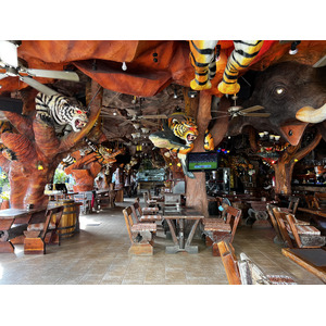 รูปถ่าย ไทย(Thailand) ภูเก็ต(Phuket) ป่าตอง(Patong) 2021-12 13