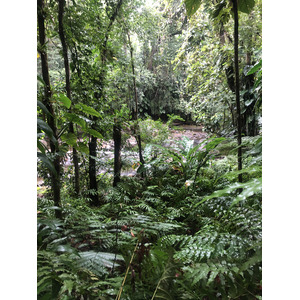 รูปถ่าย กวาเดอลูป(Guadeloupe) น้ำตกกุ้งเครย์ฟิช(Cascade aux ecrevisses) 2021-02 6