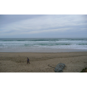 รูปถ่าย แอฟริกาใต้(South Africa) ถนนจากเฮอร์มานัสไปไนส์นา(Harmanus to Knysna road) 2008-09 131