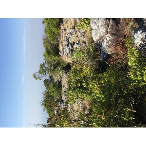 รูปถ่าย ไทย(Thailand) อุทยานแห่งชาติภูหินร่องกล้า(Phu Hin Rong Kla National Park) 2014-12 210