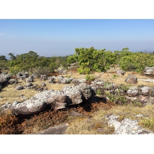 รูปถ่าย ไทย(Thailand) อุทยานแห่งชาติภูหินร่องกล้า(Phu Hin Rong Kla National Park) 2014-12 213