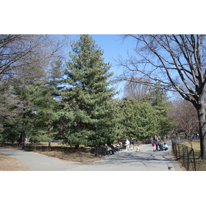 รูปถ่าย สหรัฐอเมริกา(United States) นิวยอร์ก(New York) เซ็นทรัลพาร์ก(Central Park) 2006-03 36