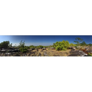 รูปถ่าย ไทย(Thailand) อุทยานแห่งชาติภูหินร่องกล้า(Phu Hin Rong Kla National Park) 2014-12 284