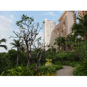 รูปถ่าย ไทย(Thailand) พัทยา(Pattaya) โรงแรมเซ็นทารา(Centara Hotel) 2011-12 52