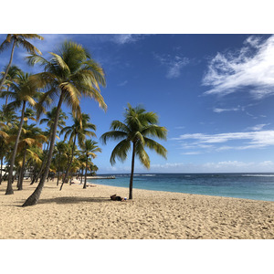 รูปถ่าย กวาเดอลูป(Guadeloupe) หาดลาการาแวล(La Caravelle Beach) 2021-02 139