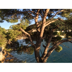 รูปถ่าย โครเอเชีย(Croatia) ดูบรอฟนิก(Dubrovnik) 2016-04 66
