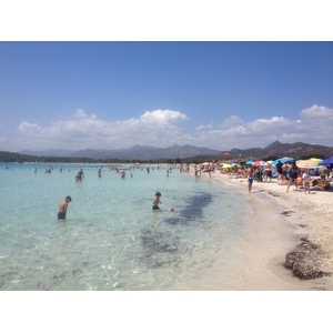 รูปถ่าย อิตาลี(Italy) ซาร์ดิเนีย(Sardinia) แหลมกาโปโกดากาวัลโล(Capo Coda Cavallo) 2015-06 79