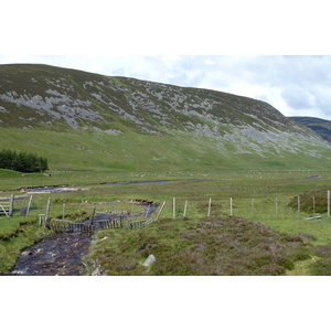 รูปถ่าย อังกฤษ(United Kingdom) อุทยานแห่งชาติแคร์นกอร์มส์(Cairngorms National Park) 2011-07 70
