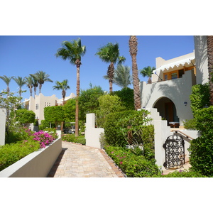 รูปถ่าย อียิปต์(Egypt) ชาร์มเอลชีค(Sharm el Sheikh) โรงแรมโฟร์ซีซันส์(Four Seasons Hotel) 2008-06 109
