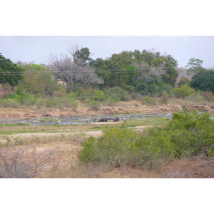 รูปถ่าย แอฟริกาใต้(South Africa) อุทยานแห่งชาติครูเกอร์(Kruger National Park) แม่น้ำครอกโคไดล์(Crocodile River) 2008-09 2