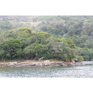 รูปถ่าย แอฟริกาใต้(South Africa) ถนนจากเฮอร์มานัสไปไนส์นา(Harmanus to Knysna road) 2008-09 148