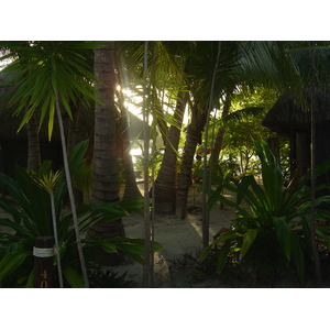 รูปถ่าย เฟรนช์โพลี่นีเซีย(Polynesia) โรงแรมเลอเมอริเดียน โบราโบรา(Meridien Bora Bora Hotel) 2006-04 45