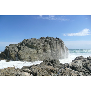 รูปถ่าย แอฟริกาใต้(South Africa) อุทยานแห่งชาติซิตซิคัมมา(Tsitsikamma National Park) 2008-09 481