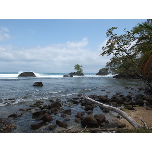 รูปถ่าย ปานามา(Panama) เกาะบาสติเมนโตส(Bastimentos) 2015-03 16