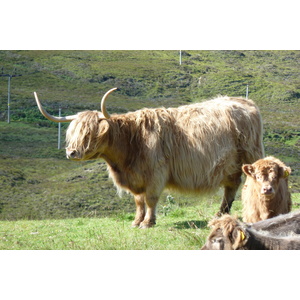 รูปถ่าย อังกฤษ(United Kingdom) เกาะสกาย(Skye) เทือกเขาคูลิน(The Cuillin) 2011-07 56