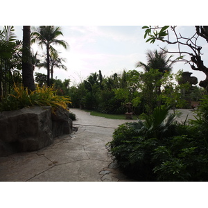 รูปถ่าย ไทย(Thailand) พัทยา(Pattaya) โรงแรมเซ็นทารา(Centara Hotel) 2011-12 31