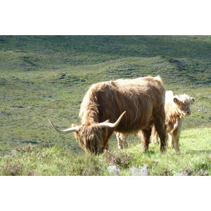 รูปถ่าย อังกฤษ(United Kingdom) เกาะสกาย(Skye) เทือกเขาคูลิน(The Cuillin) 2011-07 65