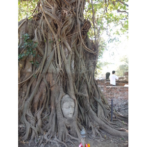 รูปถ่าย ไทย(Thailand) อยุธยา(Ayutthaya) 2011-12 29