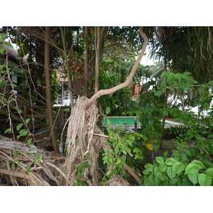 รูปถ่าย ไทย(Thailand) ระยอง(Rayong) 2011-12 30