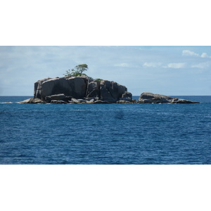รูปถ่าย เซเชลส์(Seychelles) เกาะโกโก้(Coco Island) 2011-10 30