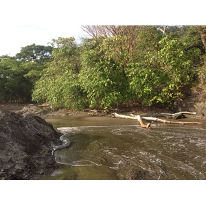 รูปถ่าย คอสตาริกา(Costa Rica) โดมินิกัล(Dominical) 2015-03 72