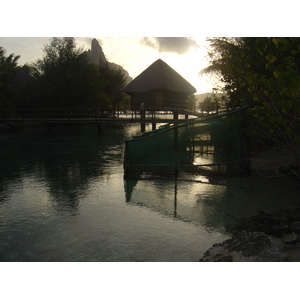 รูปถ่าย เฟรนช์โพลี่นีเซีย(Polynesia) โรงแรมเลอเมอริเดียน โบราโบรา(Meridien Bora Bora Hotel) 2006-04 246
