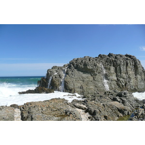 รูปถ่าย แอฟริกาใต้(South Africa) อุทยานแห่งชาติซิตซิคัมมา(Tsitsikamma National Park) 2008-09 483