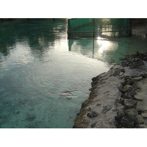 รูปถ่าย เฟรนช์โพลี่นีเซีย(Polynesia) โรงแรมเลอเมอริเดียน โบราโบรา(Meridien Bora Bora Hotel) 2006-04 8