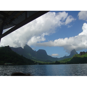 รูปถ่าย เฟรนช์โพลี่นีเซีย(Polynesia) มูเรีย(Moorea) 2006-04 128