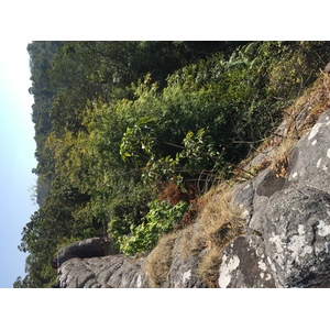 รูปถ่าย ไทย(Thailand) อุทยานแห่งชาติภูหินร่องกล้า(Phu Hin Rong Kla National Park) 2014-12 74