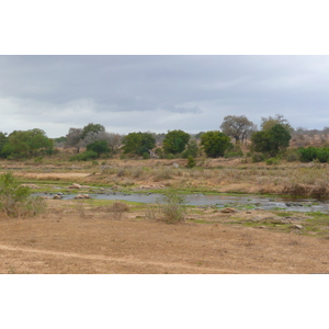 รูปถ่าย แอฟริกาใต้(South Africa) อุทยานแห่งชาติครูเกอร์(Kruger National Park) แม่น้ำครอกโคไดล์(Crocodile River) 2008-09 65