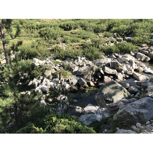 รูปถ่าย ฝรั่งเศส(France) คอร์สิคา(Corsica) หุบเขาลาเรสโตนีกา(La Restonica) 2020-07 129