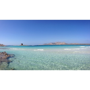 รูปถ่าย อิตาลี(Italy) ซาร์ดิเนีย(Sardinia) แหลมกาโปเดลฟัลโกเน(Capo del Falcone) 2015-06 69